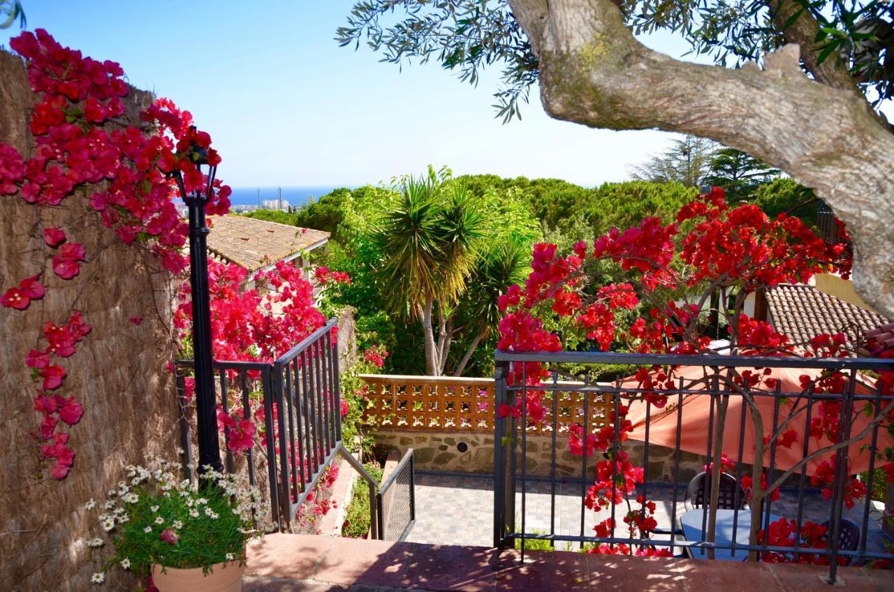 Arts House - Cabrils, Maresme, Barcelona Apartment Bagian luar foto